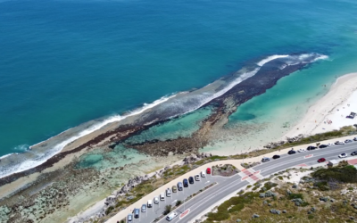 Yanchep Lagoon Snorkelling Tips