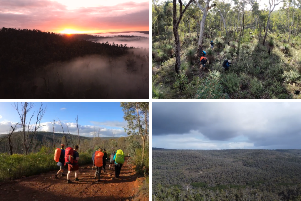 Four images: sunrise and fog in the forest; people hiking in the forest, people walking down a red dirt track in the forest, landscape image of the forest at the Bibbulmun Track. 
