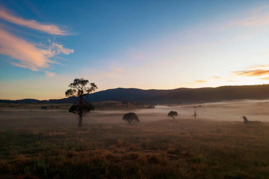 On The Fence production - An Australian valley in the alpine region, the sun is low and mist covers the grass.